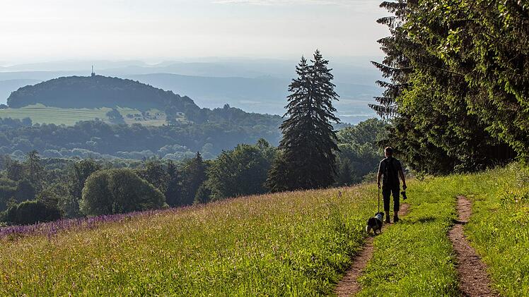 Über die Rother Kuppe hinweg bis zur Henneburg  schweift der Blick. Foto: Jürgen Hüfner