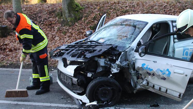 Der beteiligte Renault ClioMichael Stelzner