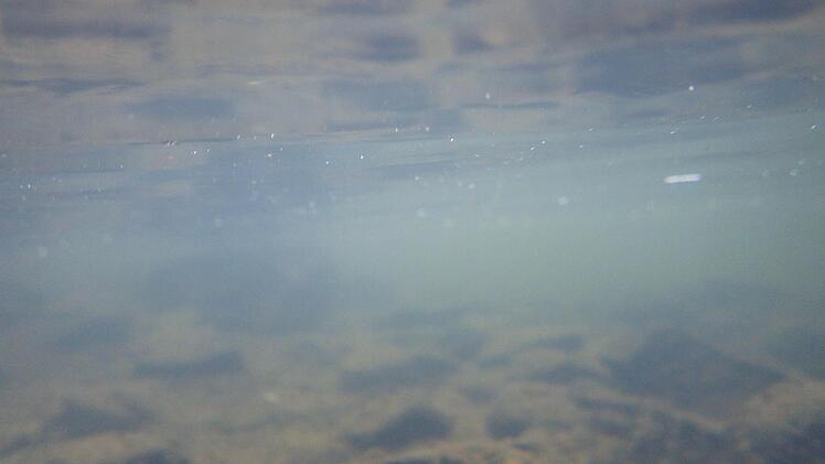 In der Wilden Rodach. Foto: Marco Meißner