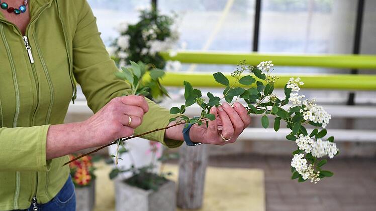 Von allen Stängeln möglichst viel überflüssiges Laub entfernen, denn dann halten die Blumen länger. Foto: Ronald Rinklef