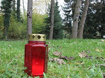 Im Parkfriedhof ist die Bestattung auf einer Wiese unter Bäumen möglich. Foto: Thomas Mäuser