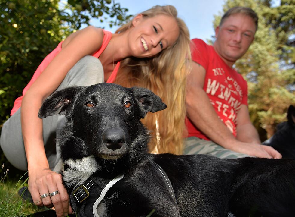 Jahresrückblick Rheinland-Pfalz  2015 - Gewinner und Verlierer