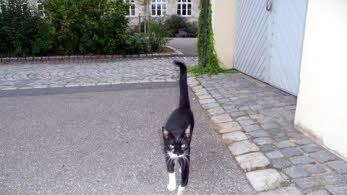 ... das Herder-Maskottchen im Pausenhof ...  Foto: privat