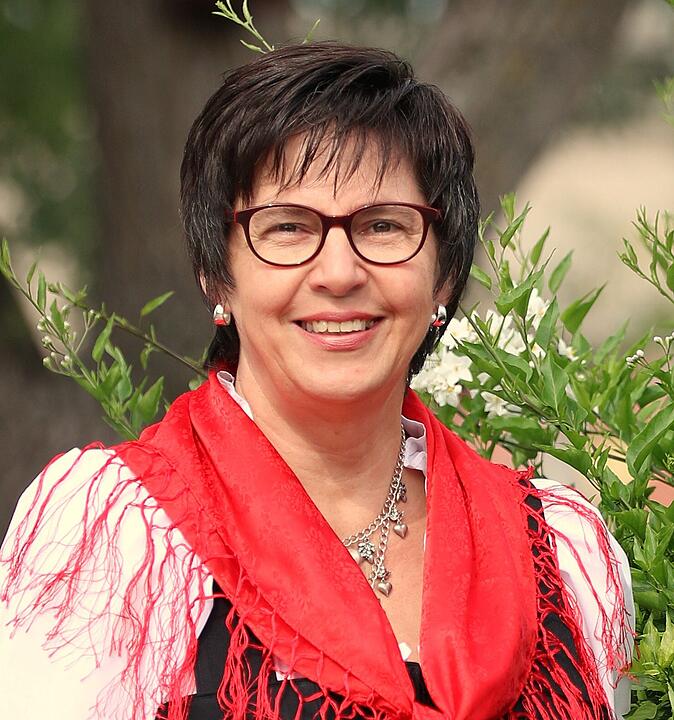 Direktkandidaten Bezirkstag