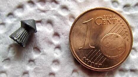 Dieses Projektil, das deutlich kleiner ist als eine Ein-Cent-Münze, hat ein Jäger aus dem Körper einer Taube geholt. Fotos: privat