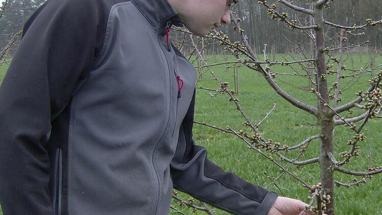 Stefan Heid bei seinen Obstbäumen. Er muss häufig kontrollieren, ob alles in Ordnung ist.