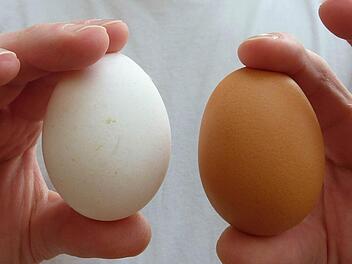 Wie bereiten sie Ihre Frühstückseier zu: Gekocht, gerührt oder beides in einem? Foto: Symboldbild/dpa