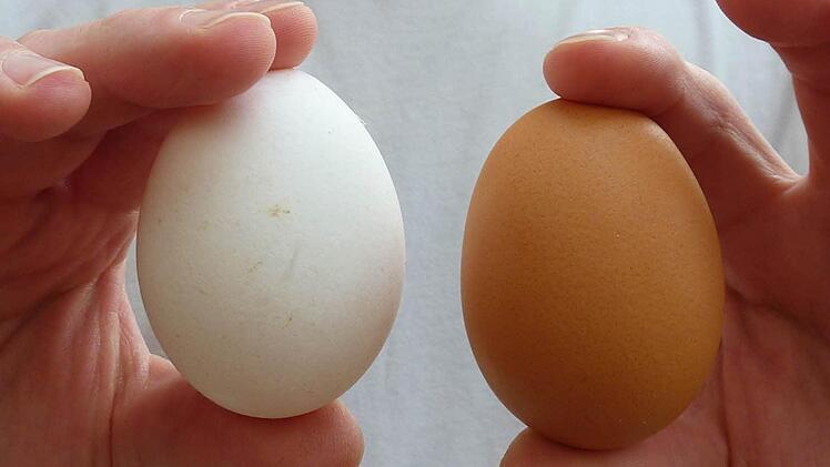 Wie bereiten sie Ihre Frühstückseier zu: Gekocht, gerührt oder beides in einem? Foto: Symboldbild/dpa