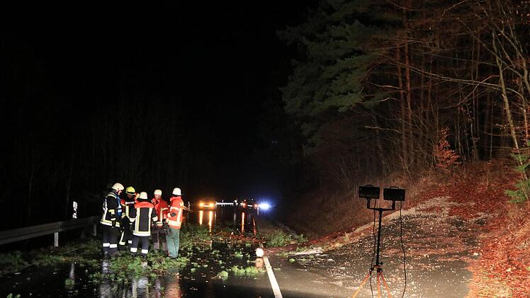 Im Kreis Forchheim hat ein Unbekannter einen Baum an einer Straße gefällt. Zwei Autos prallten hinein.  Foto: News5/Merzbach