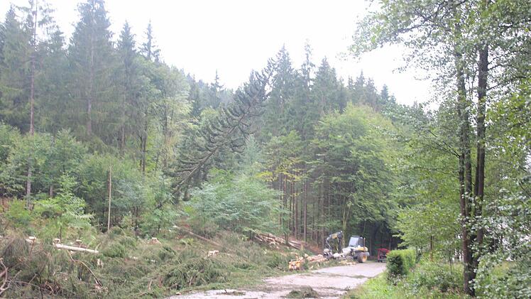 Immer wieder fallen Bäume auf die alte Kreisstraße. Ein Betreten durch Schaulustige ist viel zu gefährlich und deshalb strikt verboten. Über Funk wird abgesprochen, wann eines der Baustellenfahrzeuge das Straßenstück passieren kann.  Foto: Friedwald Schedel