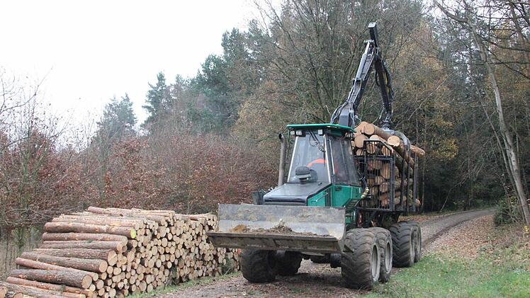 Der Forwarder transportiert Fixlängen aus dem Wald zum Lagerplatz.  Foto: Friedwald Schedel