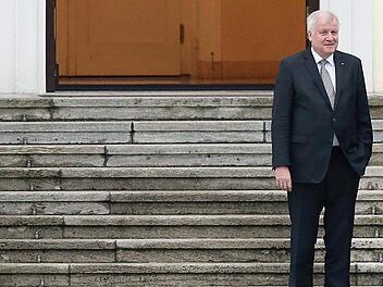 CSU-Chef Horst Seehofer vor dem Schloss Bellevue Foto: W. Kumm, dpa