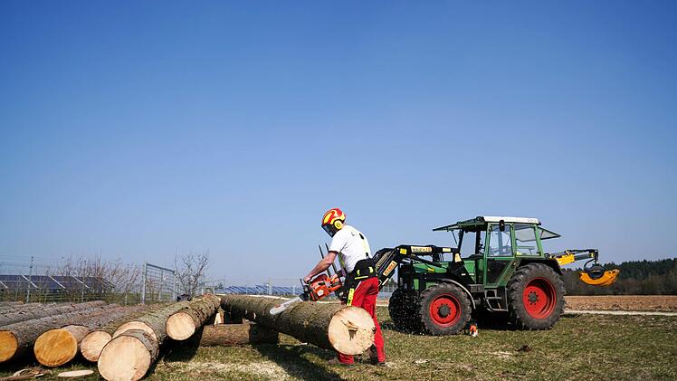 Waldbesitzer Stefan Leykam aus Feulersdorf bei der Aufarbeitung seines Schadholzes. Foto: Adriane Lochner