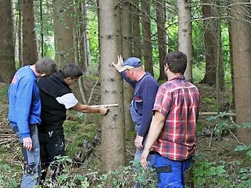 Die Oberehrenbacher geben sich viel Mühe, den richtigen Baum für die Kerwa zu finden. Fotos: Carmen Schwind