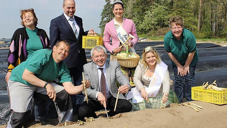Markus Leiste (vorne links) zeigt Landrat Hans Kalb, wie man Spargel richtig sticht. Spargelprinzessin Simone I. (zweite von rechts) hat bereits Erfahrung mit dem "königlichen Gemüse”. Im Bild außerdem Peggy Leiste (vorne rechts) sowie Seniorchefin Stilla Leiste, Bürgermeister Johannes Krapp und Weißwurstkönigin Christin I. (hintere Reihe von links)  Foto: Evi Seeger