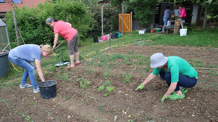 Impressionen vom Praxisunterricht Hausgartenbau