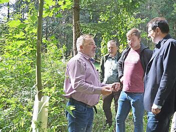 Wolfgang Schultheiß, Manfred Herter, Sebastian Schultheiß und Martin Schöffel besichtigen ein Waldstück, in dem junge Bäume mit Einzelschutz vor Verbiss gut nachgewachsen sind. Foto: Rainer Lutz