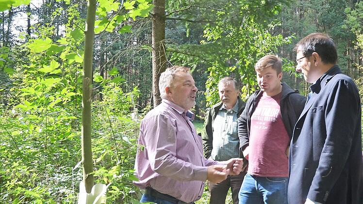 Wolfgang Schultheiß, Manfred Herter, Sebastian Schultheiß und Martin Schöffel besichtigen ein Waldstück, in dem junge Bäume mit Einzelschutz vor Verbiss gut nachgewachsen sind. Foto: Rainer Lutz