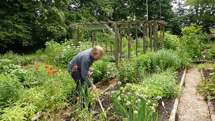 Zweiter Vorsitzender Walter Näher zählt zu den Schmölzer Idealisten, die den Kräuterlehrgarten auf Vordermann bringen. Foto: Gerd Fleischmann