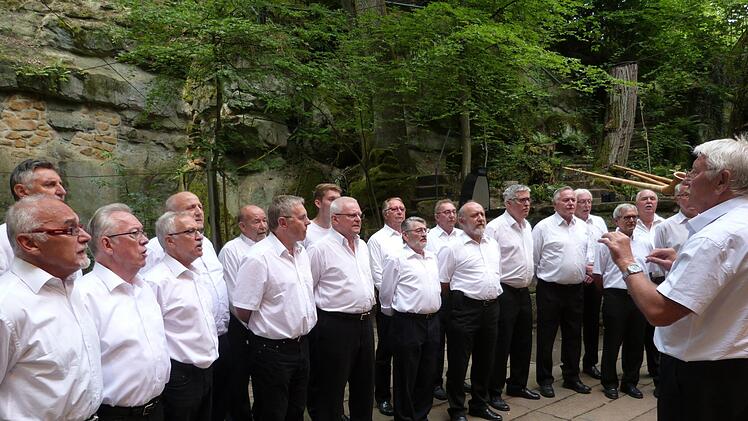 Der Männerchor Lippertsgrün. Foto: Werner Reißaus