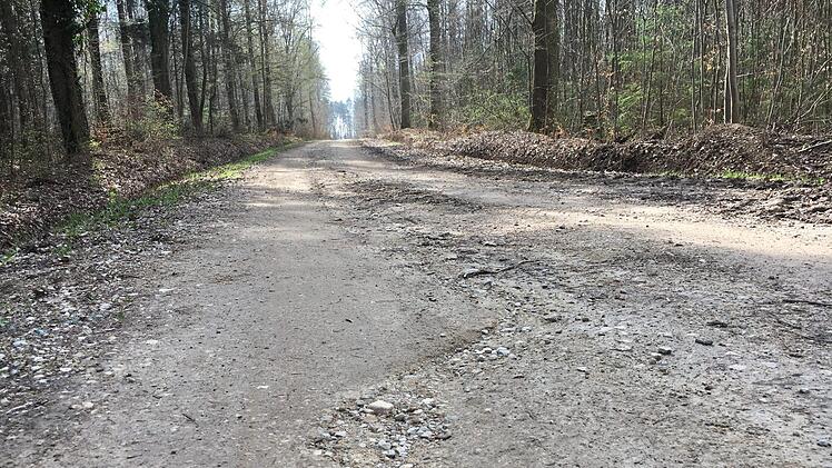 Nicht mehr für reguläre Fahrzeuge geeignet - die GVS im Wald zwischen Scheßlitz und Peulendorf. Foto: Anette Schreiber