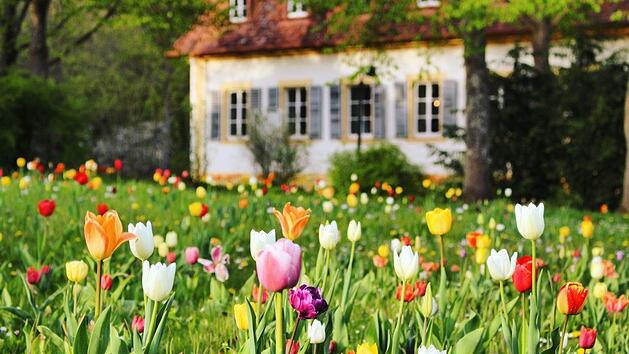 Reizvoller Kurort  im B&auml;derland Bayerische Rh&ouml;n: Bad Bocklet, dessen Kurgarten hier mit Bl&uuml;tenpracht garniert ist. Wir haben f&uuml;r Sie Ideen f&uuml;r g&uuml;nstige &Uuml;bernachtungen in der Rh&ouml;n und Umgebung gesammt. Foto: tina_photography97/infrankenpix