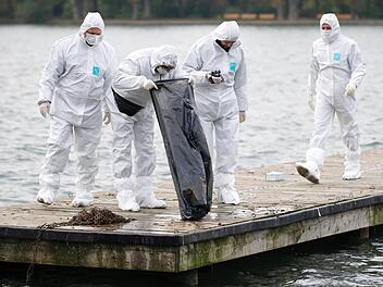 Polizisten begutachten am 01.11.2012 am Nordufer des Maschsees in Hannover (Niedersachsen) den Inhalt einer Mülltüte, welche zuvor von einem Polizeitaucher geborgen wurde. Nach dem Fund einer zerstückelten Prostituierten im Maschsee in Hannover hat die Polizei den mutmaßlichen Täter gefasst. Foto: Emily Wabitsch/dpa (zu lni 1667 vom 29.11.2012