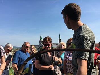 Hoch über Bamberg reift Köstliches heran. Foto: Anette Schreiber