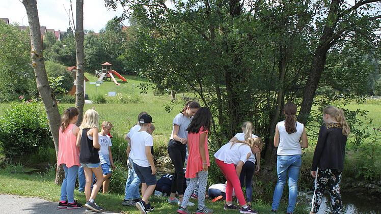 Die Kinder suchen  ganz genau. Foto: Carmen Schwind