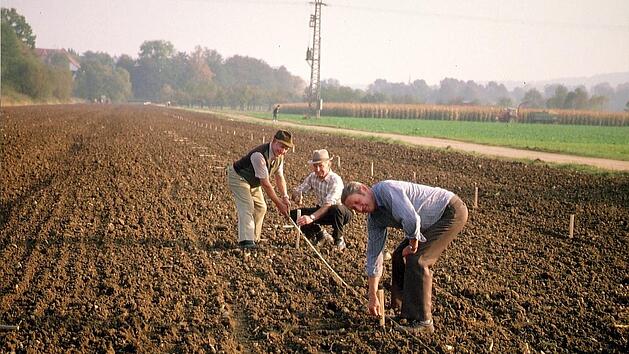 Die Vorbereitungen zur Wiedererrichtung der historischen Baille-Maille-Lindenallee in Himmelkron begannen 1986. Im Bild (von links) Hanns Meyer, Albin Völkel und Walter Simonsen bei der Arbeit.Archiv