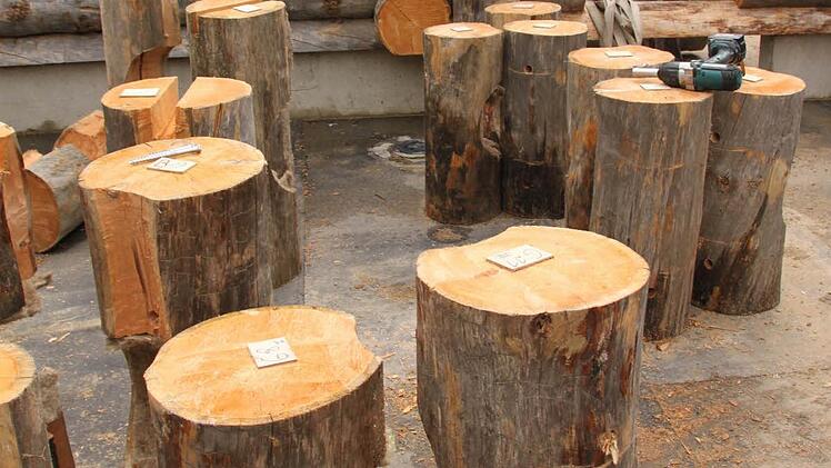 Direkt vom Polarkreis kommen die Rundhölzer, die in Finnland vorbearbeitet worden waren. Foto: Matthias Einwag