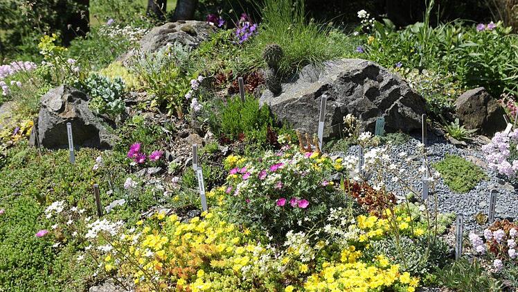 Impressionen aus dem Staudengarten der Familie Sagert in Marktschorgast Foto: Barbara Herbst