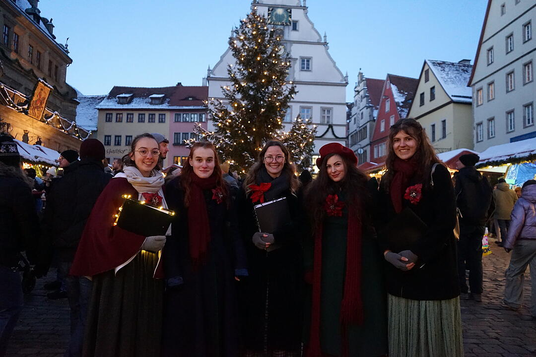 Die sch&ouml;nsten Bilder vom Rothenburger Reiterlesmarkt 2023