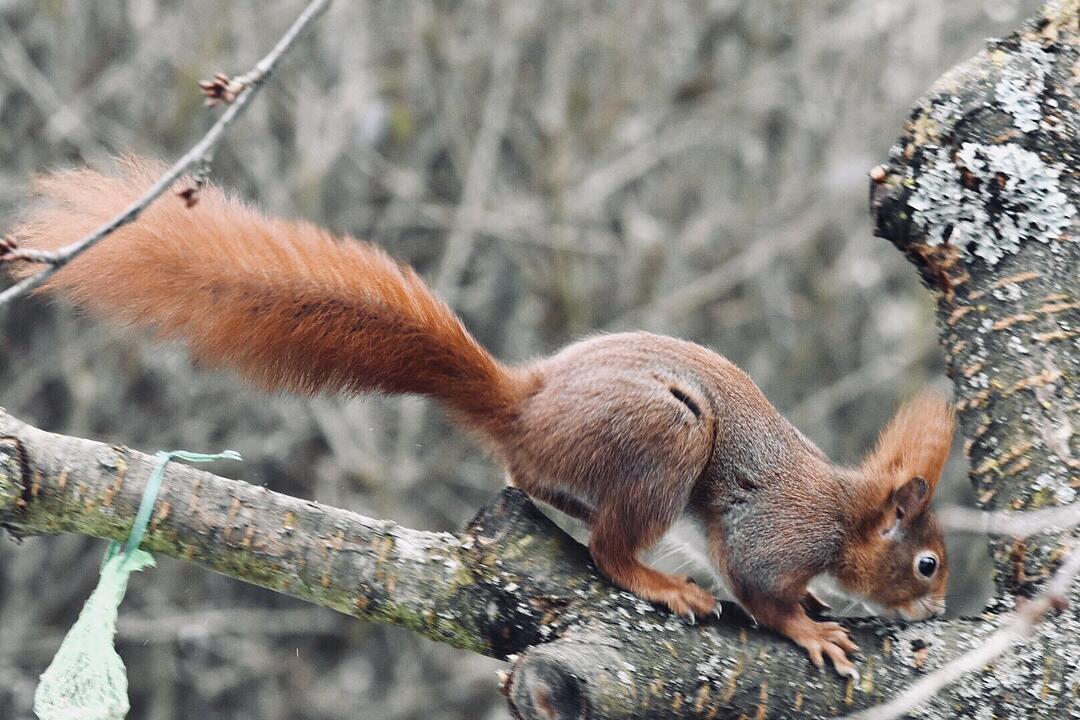 Die schönsten Frühlingsfotos aus den Haßbergen
