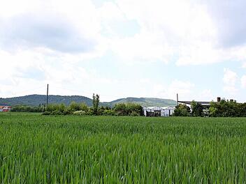 Auf dem Grundst&uuml;ck der ehemaligen G&auml;rtnerei Kr&auml;mer etwas au&szlig;erhalb von Zell soll ein Tierheim entstehen. Der Ortsrand ist rund 500 Meter entfernt.  Foto: Andreas L&ouml;sch