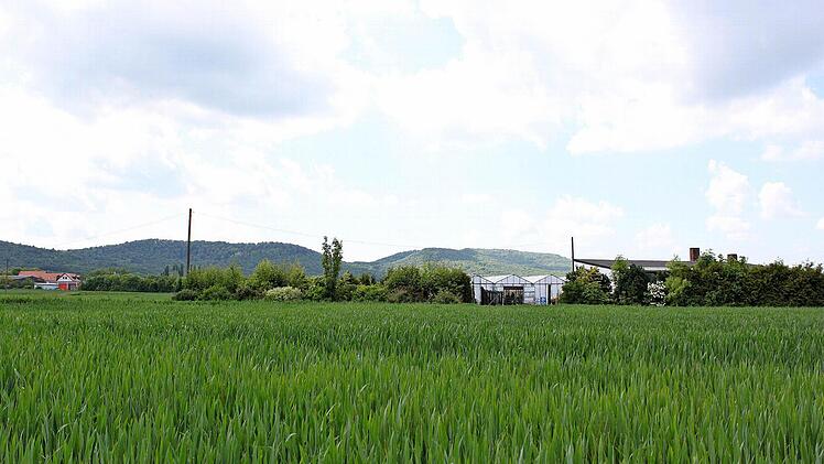 Auf dem Grundst&uuml;ck der ehemaligen G&auml;rtnerei Kr&auml;mer etwas au&szlig;erhalb von Zell soll ein Tierheim entstehen. Der Ortsrand ist rund 500 Meter entfernt.  Foto: Andreas L&ouml;sch