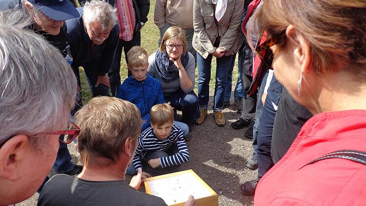 Dietmar Will zeigte, dass es am Ebelsberg nicht nur besondere Pflanzen, sondern auch seltene Wildbienenarten gibt.
