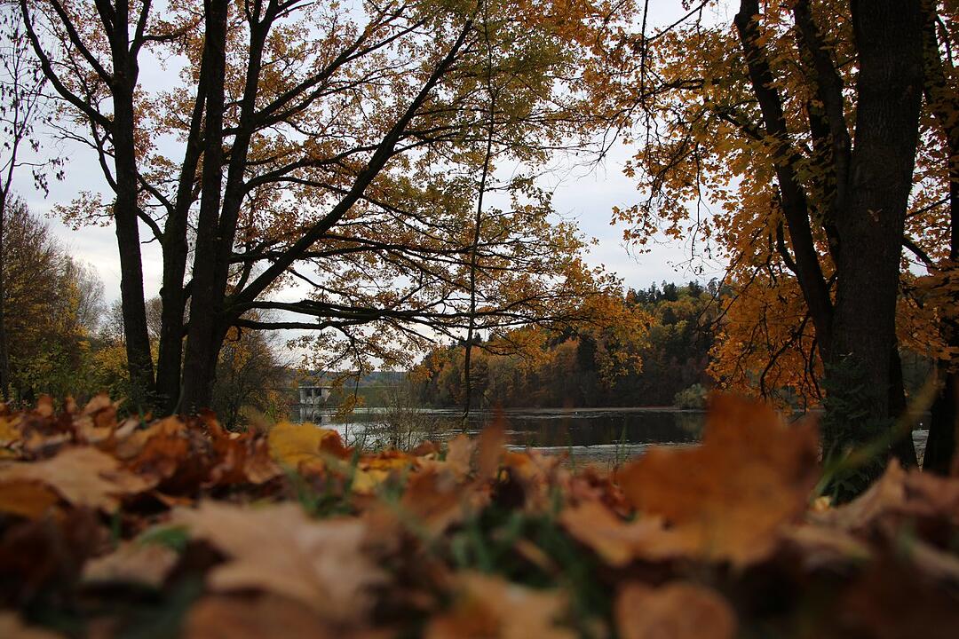Die schönsten Fotos im Herbst aus Coburg und Umgebung