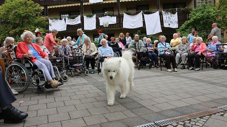 (Foto: Barbara Herbst)