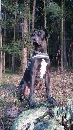 Foto: Sandra Bayer