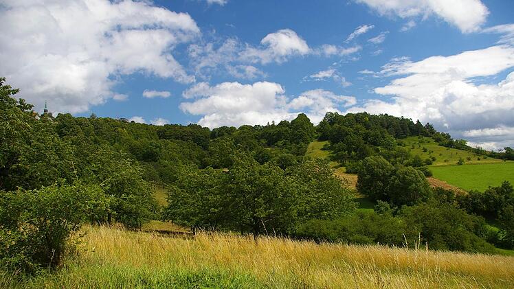 Den Nord-/Westhängen von Altenstein gilt eine besondere Fürsorge.