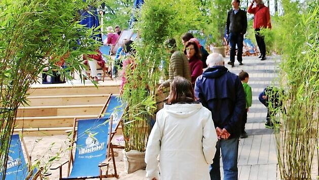 Die Forchheimer testeten ihren neuen Stadtstrand. Der erste Weg führte die meisten durch die Allee aus Bambus-Pflanzen.  Fotos: Andreas Schmitt
