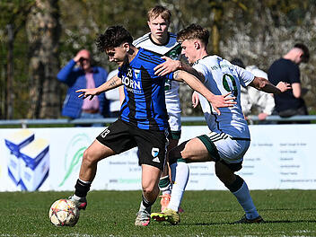 "Tun alles daf&uuml;r": Jahn Forchheim k&auml;mpft um die Relegation