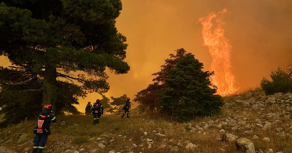 Greece: Fatalities in fierce forest fire on Salamis | difficult ...
