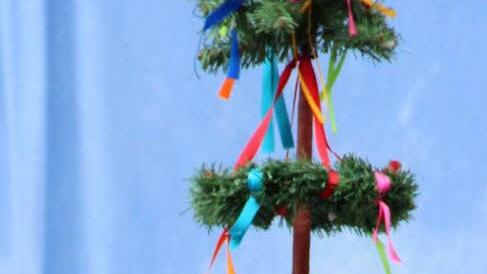 Sanka klettert auf die Fichte, um sie als Ausguck zu nutzen. Foto: Johanna Blum