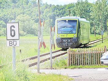 Bei den Bahnübergänge im Bereich der Marktgemeinde Rentweinsdorf gibt es noch immer Probleme aus dem Weg zu räumen. Beispielsweise den Wiesenknopf-Ameisenbläuling. Foto: Ralf Kestel