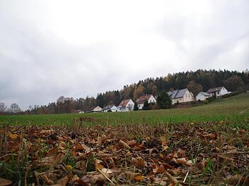 Im Landkreis Kronach gibt es bisher noch keinen Kunstrasenplatz. Beim FC Stockheim könnten vor allem die vielen Jugendlichen von so einem Allwetterplatz profitieren.