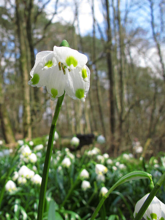 Fotos Konrad Thomann