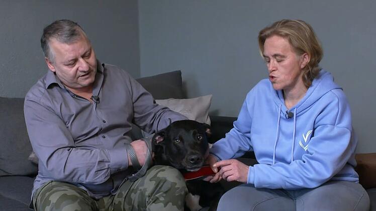 Ob bei Besuchern oder beim Spazieren drau&szlig;en: Labrador Socke h&auml;lt Falk und Katja ganz sch&ouml;n auf Trab.
