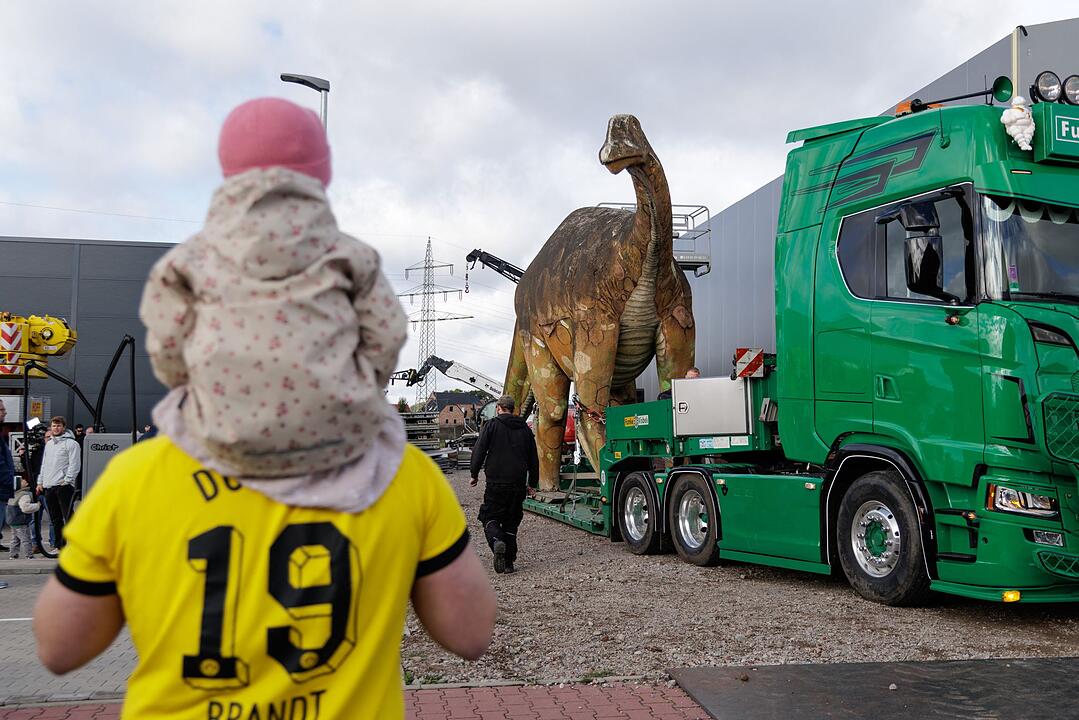 XXL-Dino &bdquo;eLise&ldquo; bekommt ein neues Zuhause